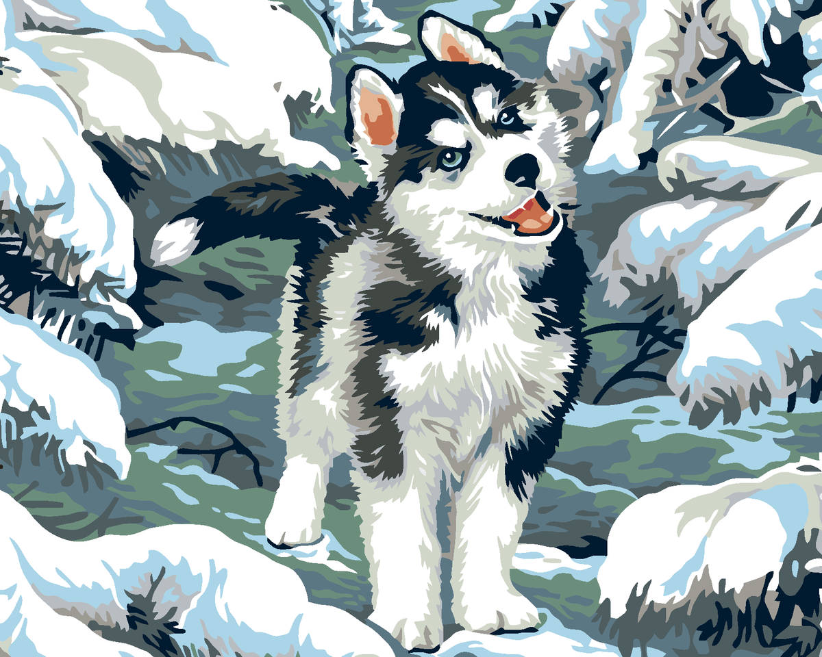 Kleine husky in de sneeuw, schilderen op nummer