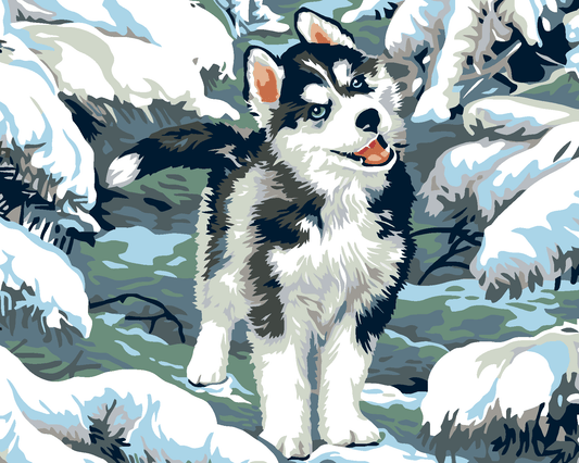Kleine husky in de sneeuw, schilderen op nummer