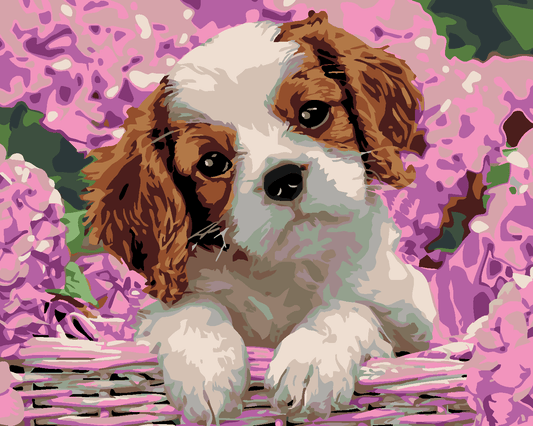 Puppy tussen de hortensia's, schilderen op nummer
