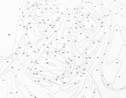 Canvas met duidelijke nummers