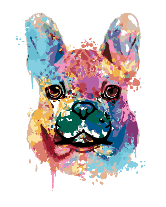 Kleurrijke bulldog, schilderen op nummer