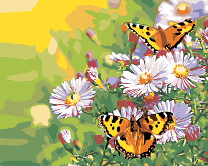 Vlinders op margrieten, schilderen op nummer